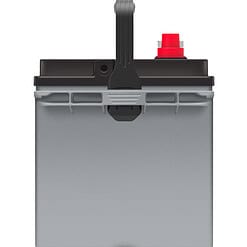 EverStart Platinum BOXED AGM Marine and RV Deep Cycle Battery Group Size 24M, 12 Volt 875 MCA