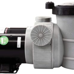 Rx Clear Dorado 1-1/2 HP Dual Port Above-Ground Pool Pump