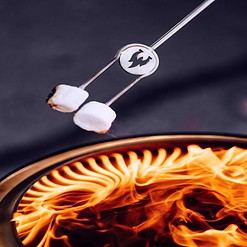 Solo Stove Bonfire 2.0 19.5 in. W Stainless Steel Round Wood Fire Pit with Stand