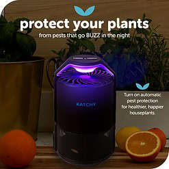 Katchy Midnight Indoor Insect Trap with Automatic Setting - Fan Powered with UV Light