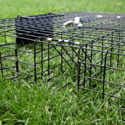 Rugged Ranch Squirrelinator 2 Door Small Metal Wire Multi-Catch Live Animal Squirrel Catch & Release Cage Trap for Pest Control, Black
