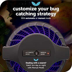 Katchy Midnight Indoor Insect Trap with Automatic Setting - Fan Powered with UV Light