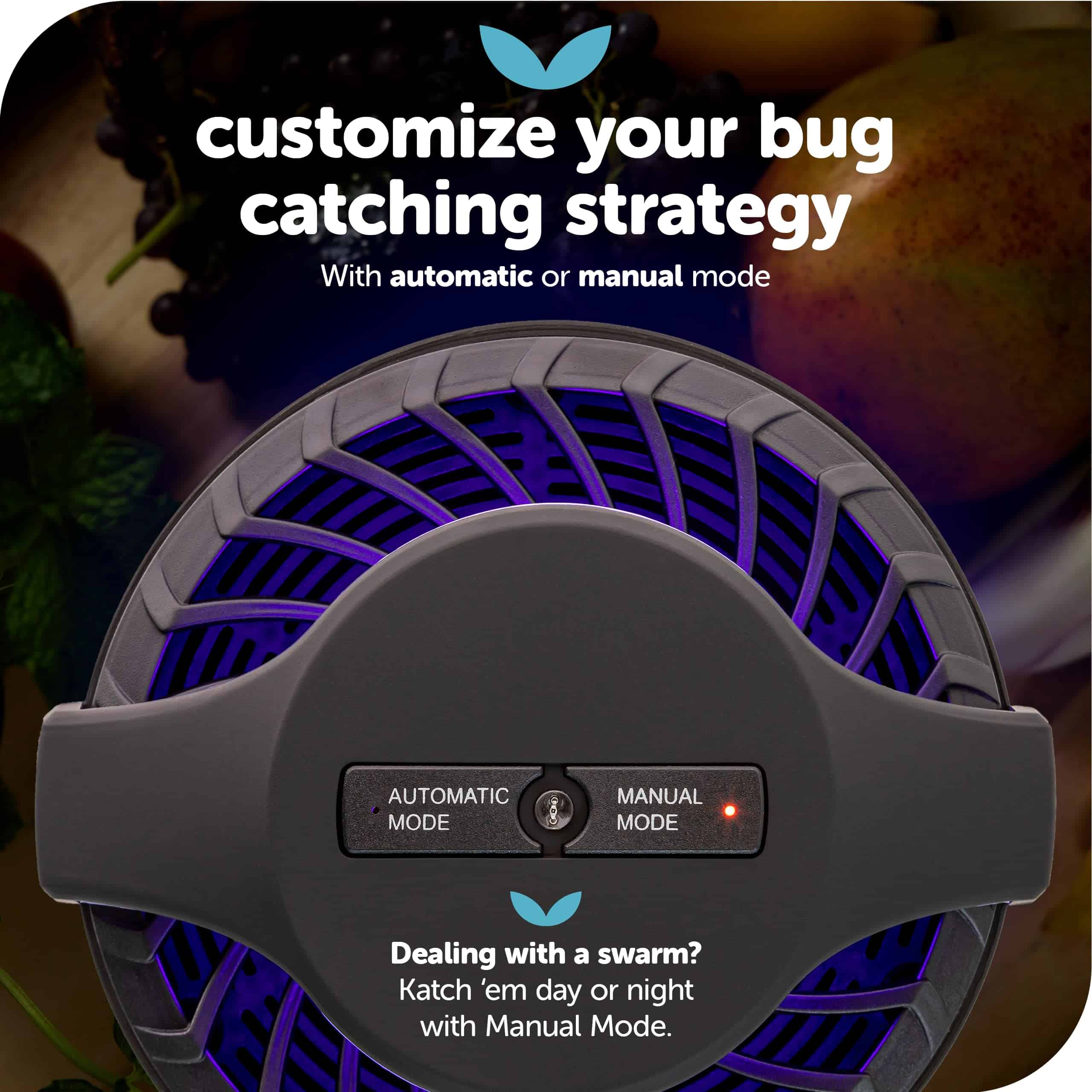 Katchy Midnight Indoor Insect Trap with Automatic Setting - Fan Powered with UV Light