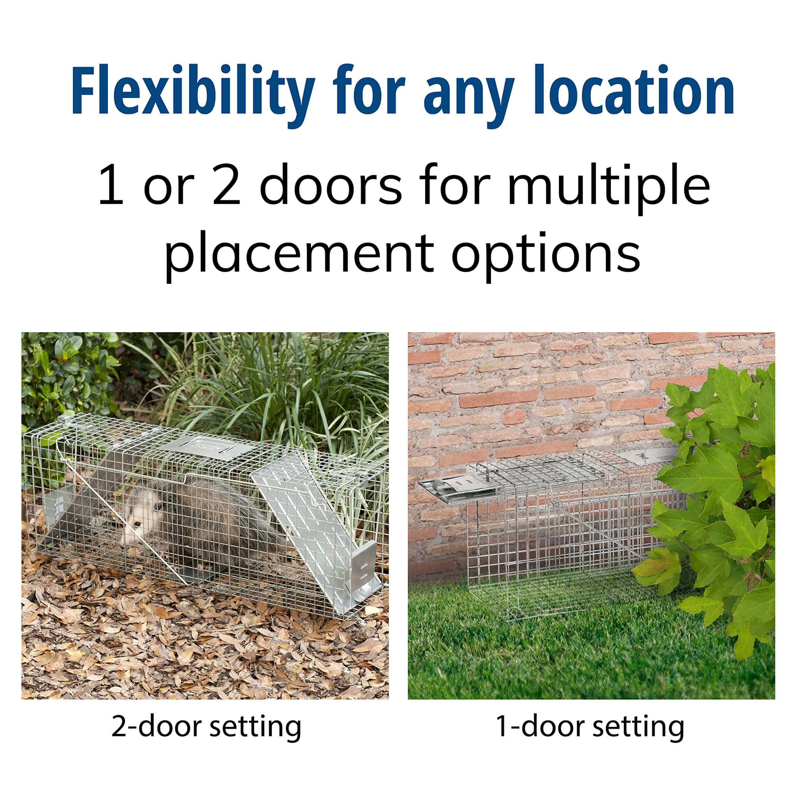 Havahart 1045SR Large 2-Door Humane Catch and Release Live Animal Trap