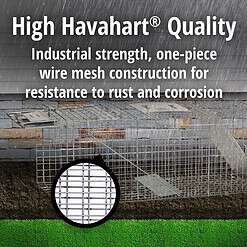 Havahart 1045SR Large 2-Door Humane Catch and Release Live Animal Trap