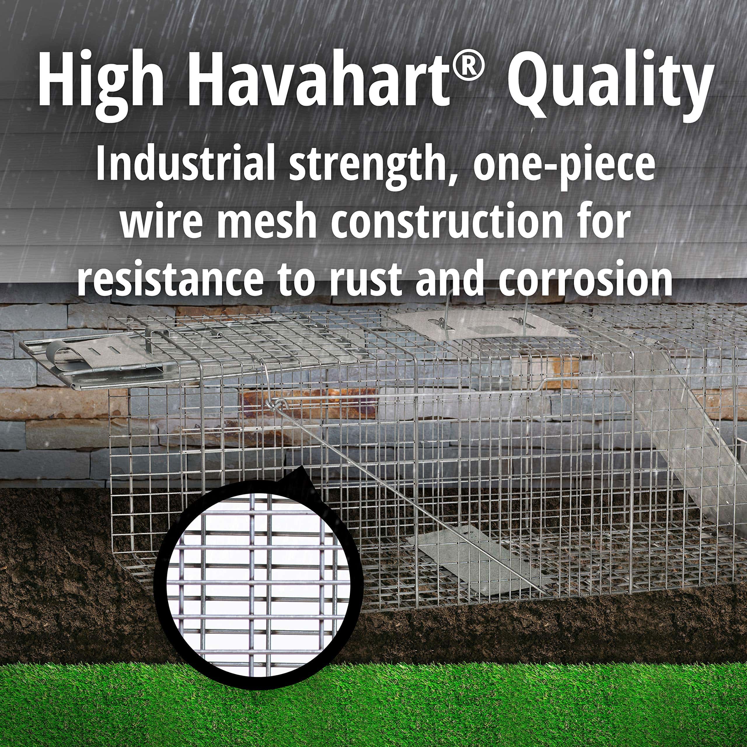 Havahart 1045SR Large 2-Door Humane Catch and Release Live Animal Trap