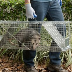 Havahart 1045SR Large 2-Door Humane Catch and Release Live Animal Trap