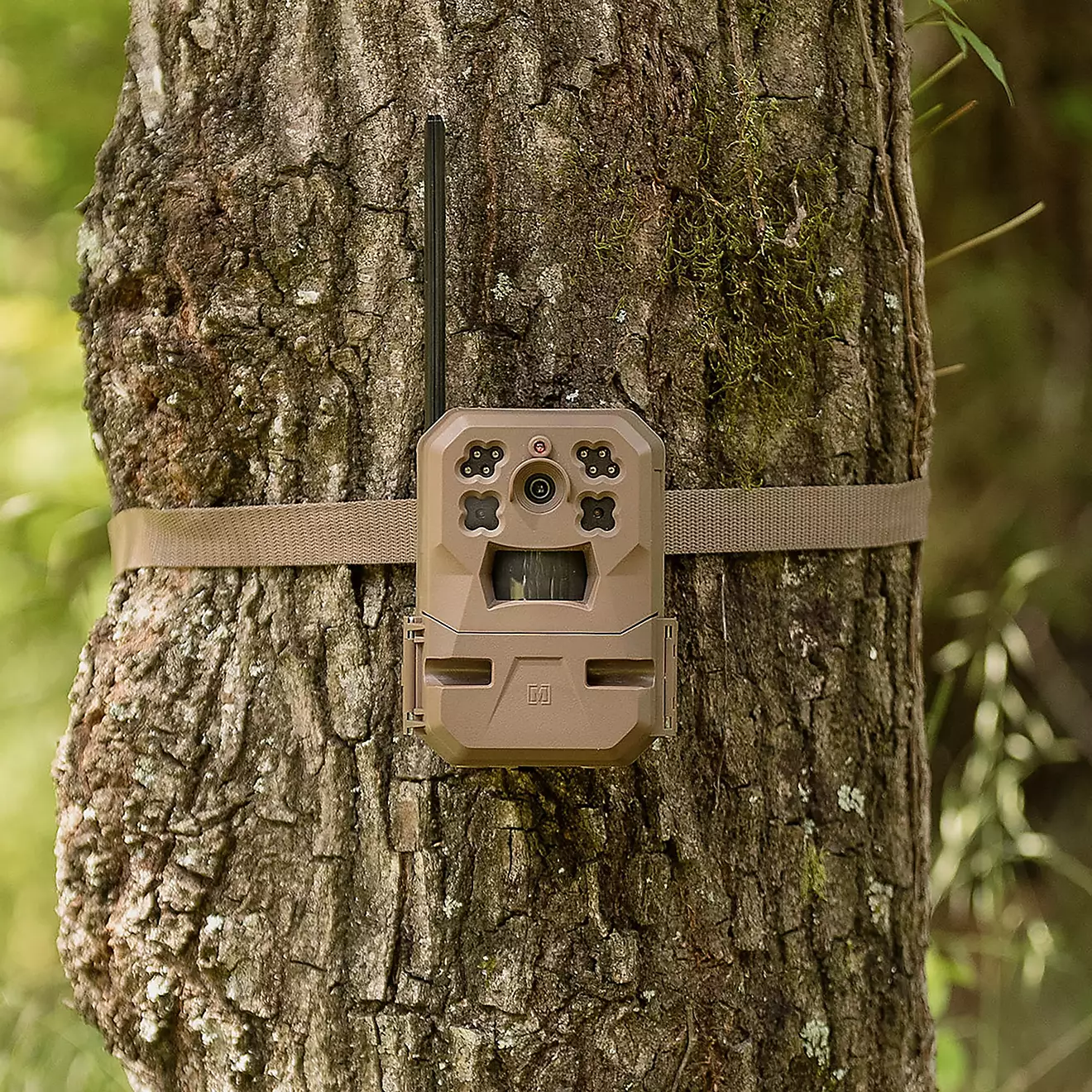 Moultrie EDGE Mobile Nationwide Cellular Trail Camera