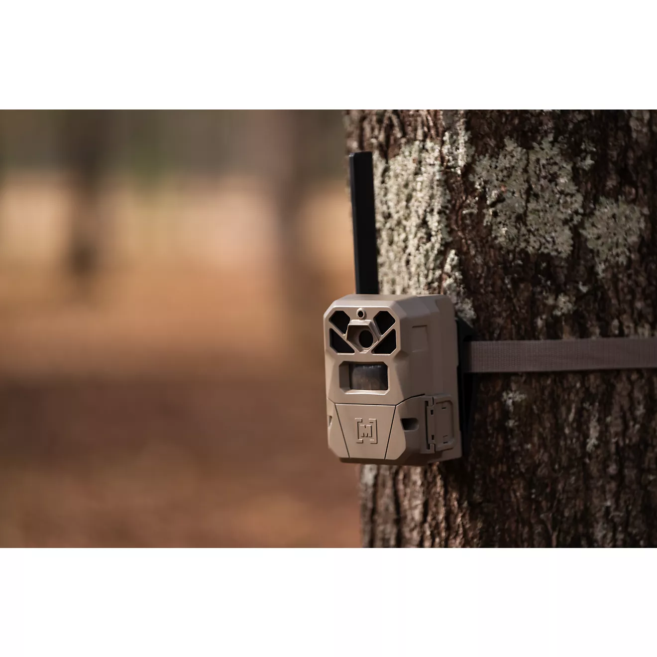 Moultrie Edge 2 Cellular Trail Camera 2-Pack