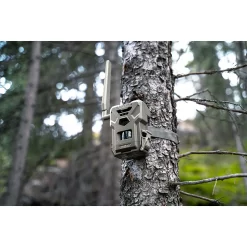 SpyPoint Flex-M Twin Pack with SD Cards