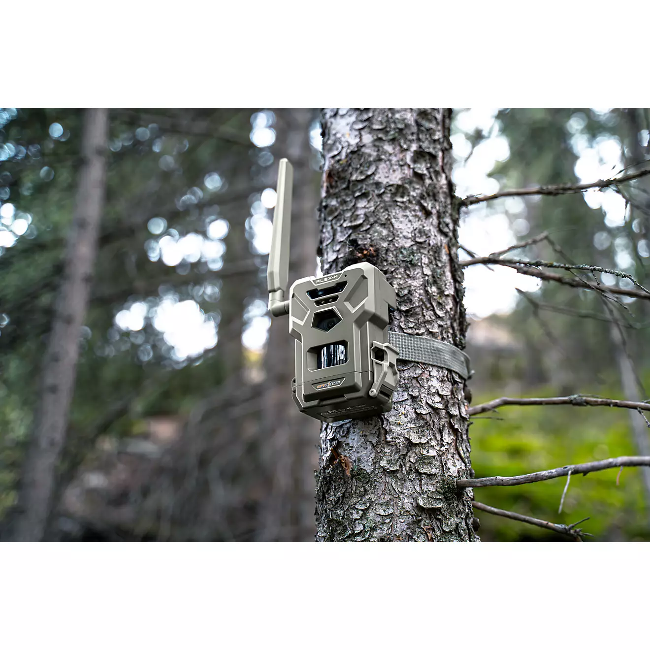 SpyPoint Flex-M Twin Pack with SD Cards