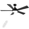 Autoday 52 Inch Ceiling Fans with Lights and Remote - Black Ceiling Fan with Light