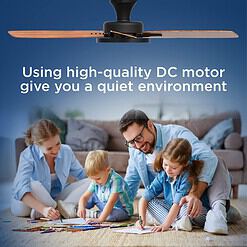 TALOYA 52 inch Ceiling Fans with Lights,Remote Control Multifunctional Quiet Fan, Black