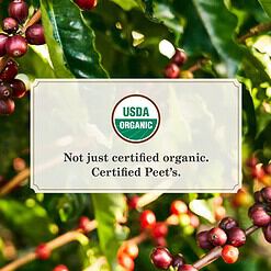 Peet's Coffee, Dark Roast K-Cup Pods for Keurig Brewers - Organic Alma de la Tierra, USDA Organic 60 Count (6 Boxes of 10 K-Cup Pods)