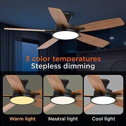 TALOYA 52 inch Ceiling Fans with Lights,Remote Control Multifunctional Quiet Fan, Black
