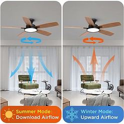 TALOYA 52 inch Ceiling Fans with Lights,Remote Control Multifunctional Quiet Fan, Black