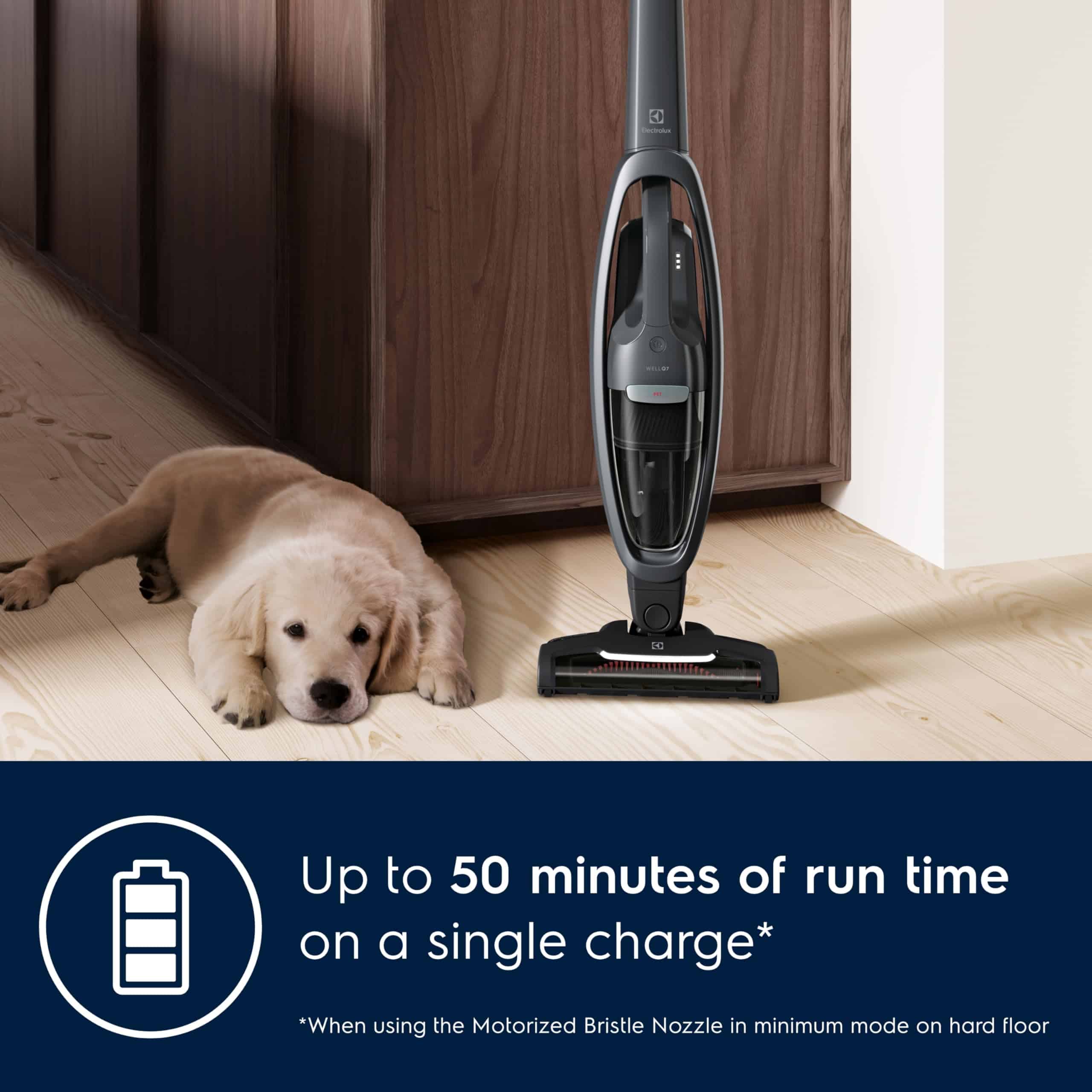 Electrolux WellQ7 Pet Stick Cleaner Lightweight Cordless Vacuum with LED Nozzle Lights