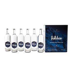 Hallstein Artesian Natural Alkaline Still Water (Non-Sparkling) - 25.4 fl oz (6 Glass Bottles)