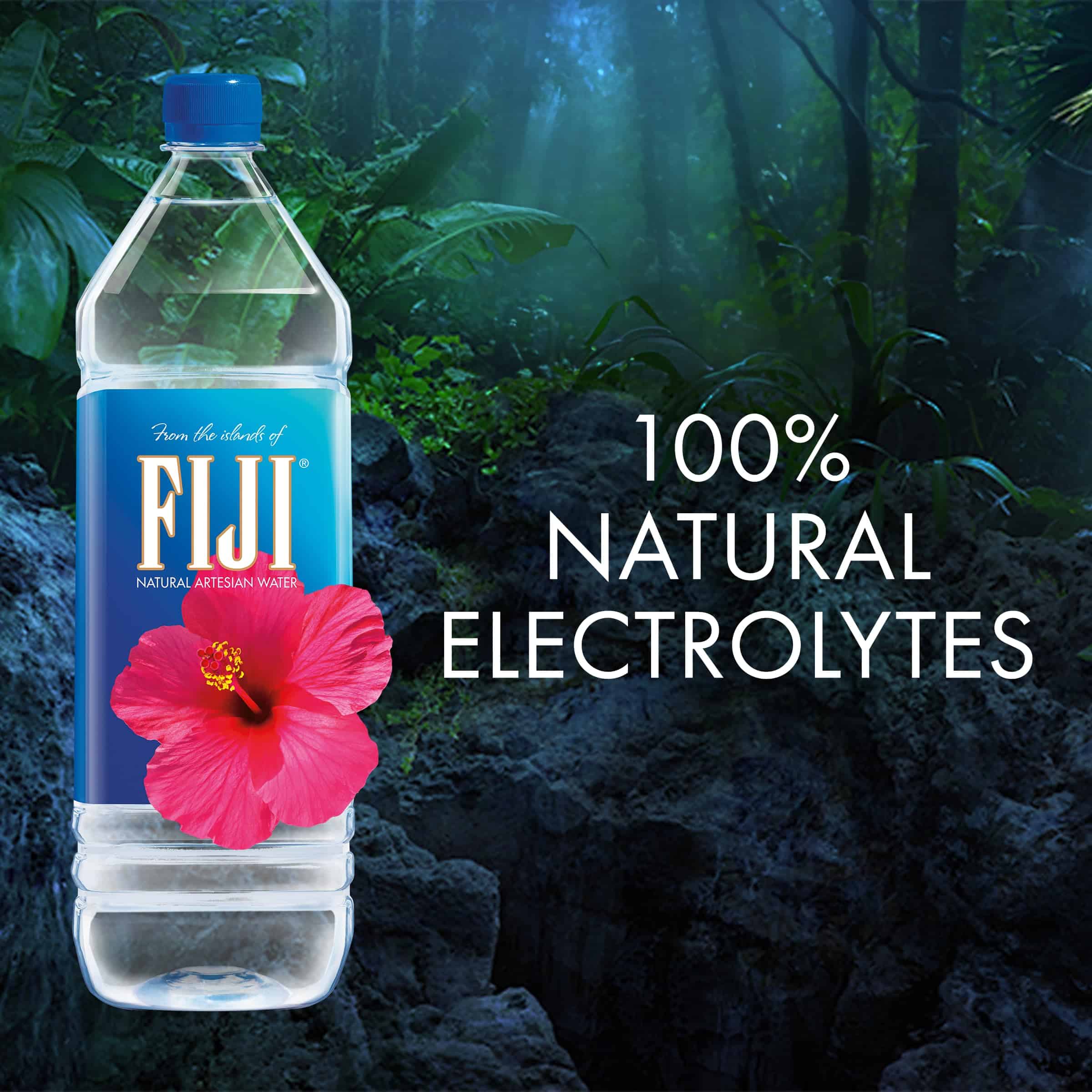 FIJI Natural Artesian Bottled Water 1.5 Liters / 50.7 Fl Ounce (Pack of 12) - Natural Electrolytes