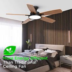 TALOYA 52 inch Ceiling Fans with Lights,Remote Control Multifunctional Quiet Fan, Black