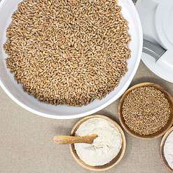 WONDERMILL Powerful High Speed Electric Grain Mill Grinder for Healthy Gluten-Free Flours