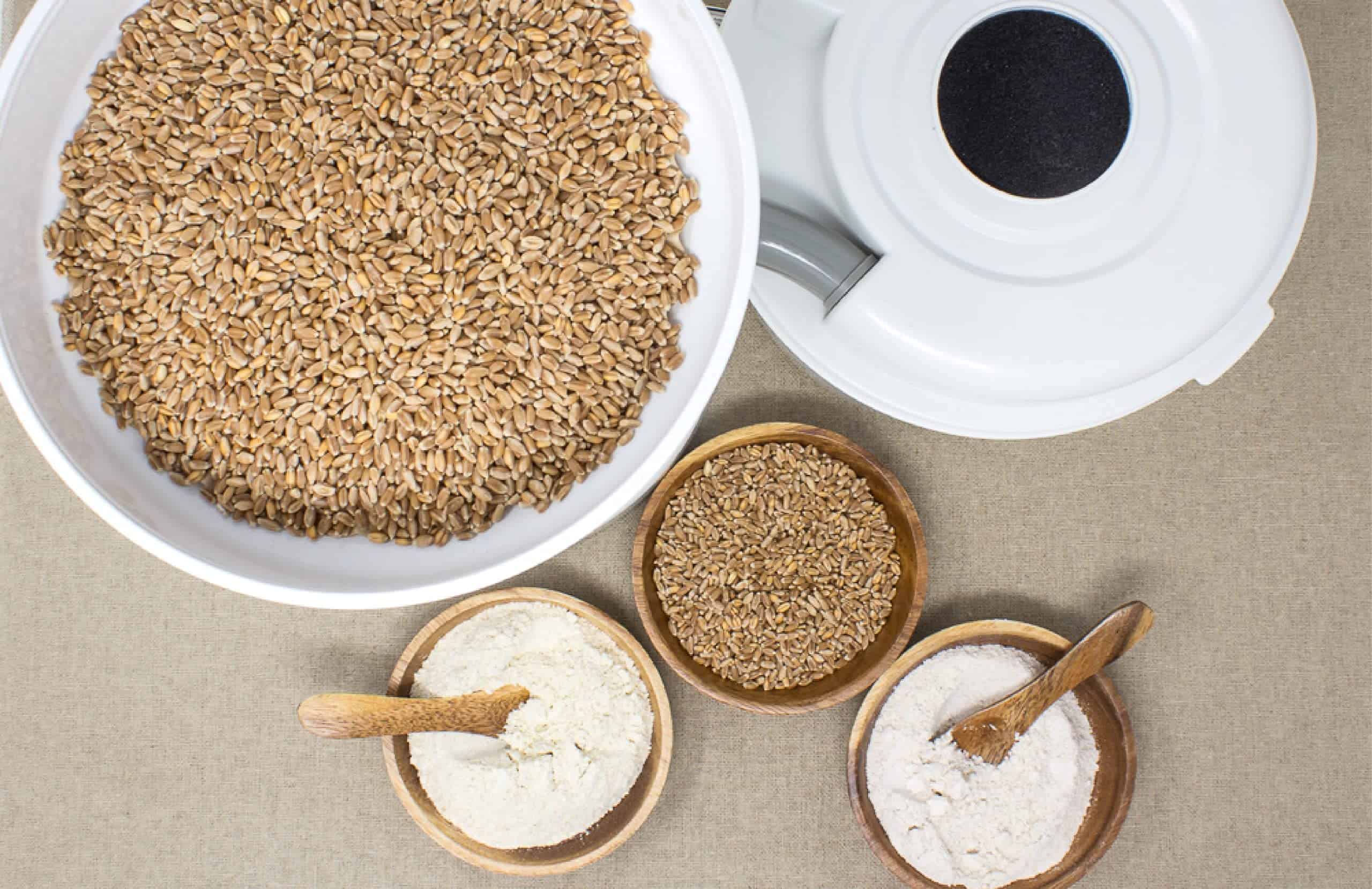 WONDERMILL Powerful High Speed Electric Grain Mill Grinder for Healthy Gluten-Free Flours