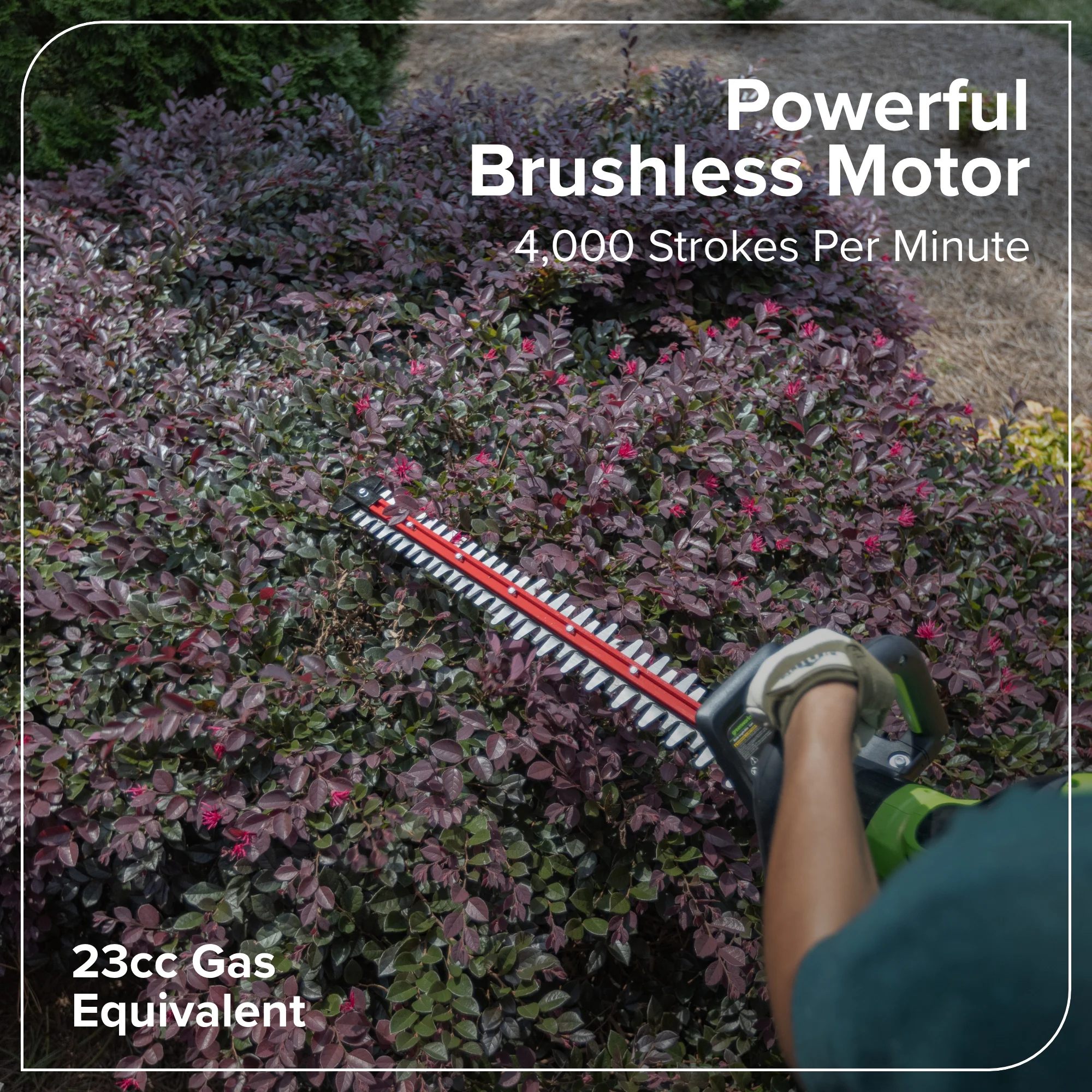 Greenworks 60V 26" Hedge Trimmer with 2.0 Ah Battery & 3 Amp Charger 2216602 - Image 8