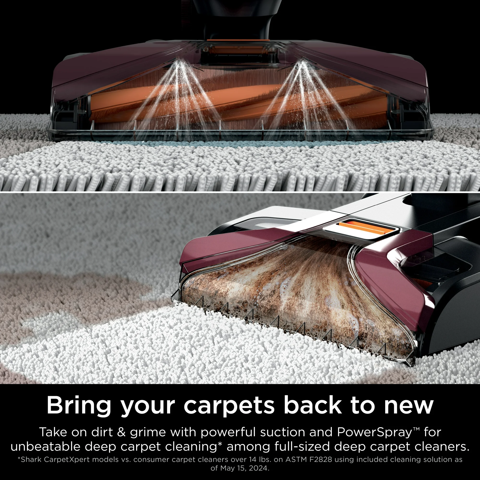 Shark CarpetXpert 10" Pet Upright Deep Carpet Cleaner with Handheld Spot & Stain Eliminator, 12oz Cleanser