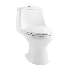 Project Source Laporte White Dual Flush Elongated Chair Height 1-Piece Toilet 12-in Rough-In WaterSense 1.6-GPF
