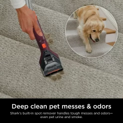 Shark CarpetXpert 10
