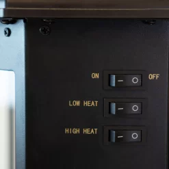 Patio Premier 5000-BTU 120-Volt Black Steel Electric Patio Heater