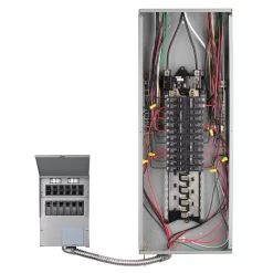 Reliance 306LRK 30-Amp ProTran 2 Manual Transfer Switch