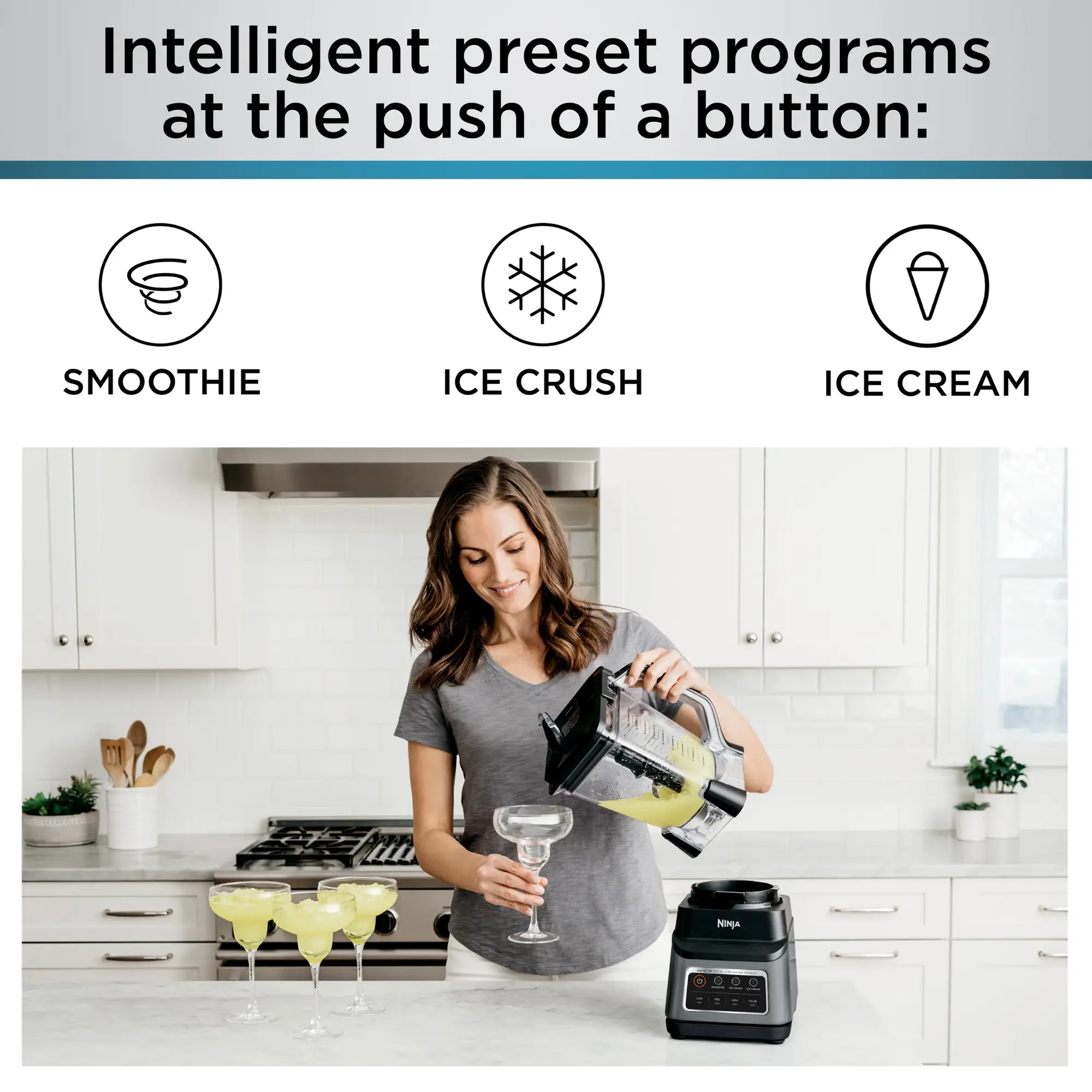 Ninja - Professional Plus Blender with Auto-iQ - Gray