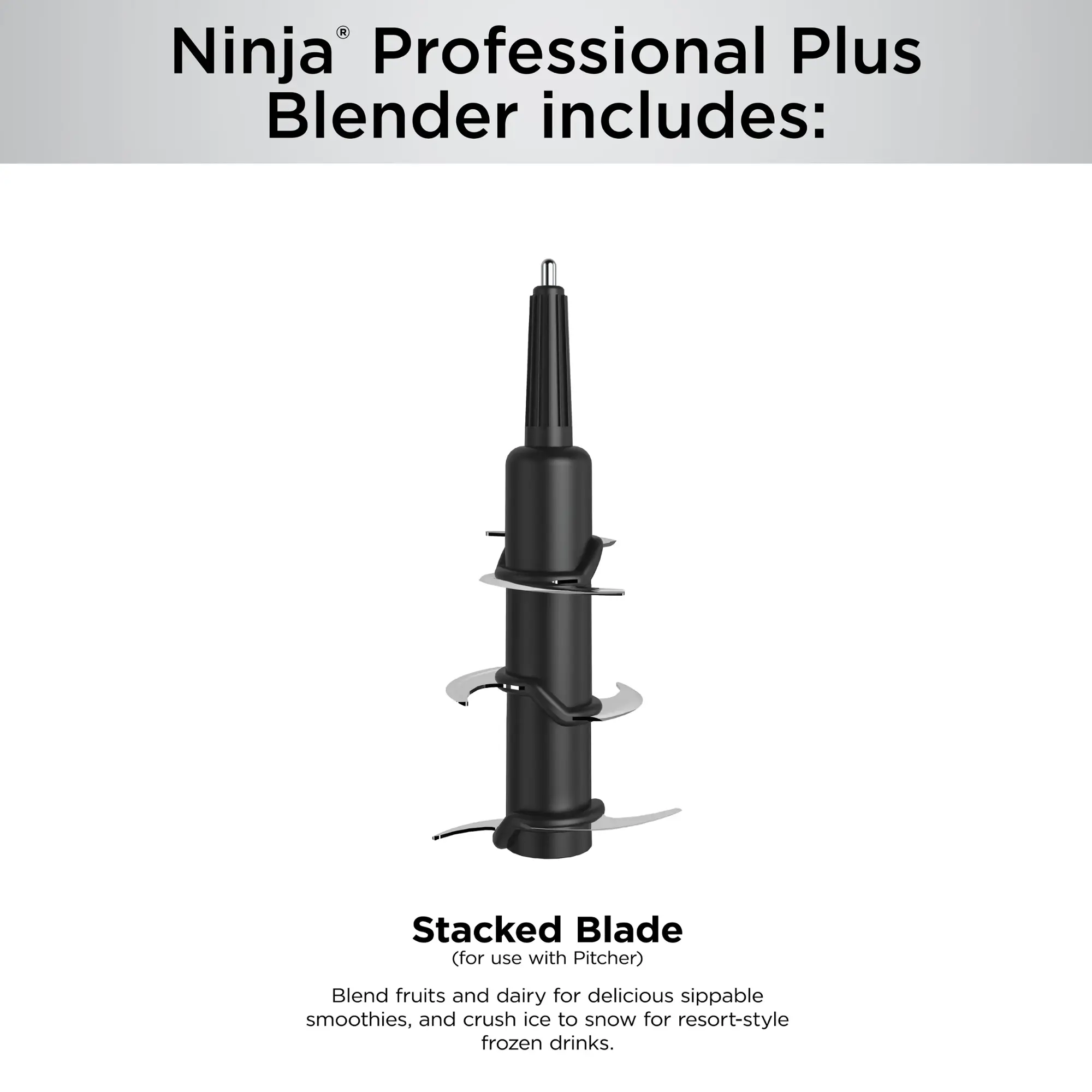 Ninja - Professional Plus Blender with Auto-iQ - Gray