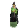 Haunted Hill Farm 6-ft Freestanding Motion Activated Talking Lighted Witch Animatronic