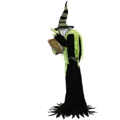 Haunted Hill Farm 6-ft Freestanding Motion Activated Talking Lighted Witch Animatronic