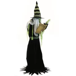 Haunted Hill Farm 6-ft Freestanding Motion Activated Talking Lighted Witch Animatronic