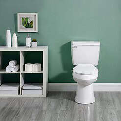 Project Source Pro White Elongated Chair Height 2-piece Toilet 12-in Rough-In WaterSense 1.28-GPF