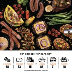 Blackstone Original 2-Burner 28