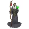 Haunted Living 6.5-ft Haunted Harbor Talking LED Servo Sea Witch Animatronic