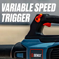 SENIX 60-volt Max 810-CFM 170-MPH Battery Handheld Leaf Blower 4 Ah (Battery and Charger Included)