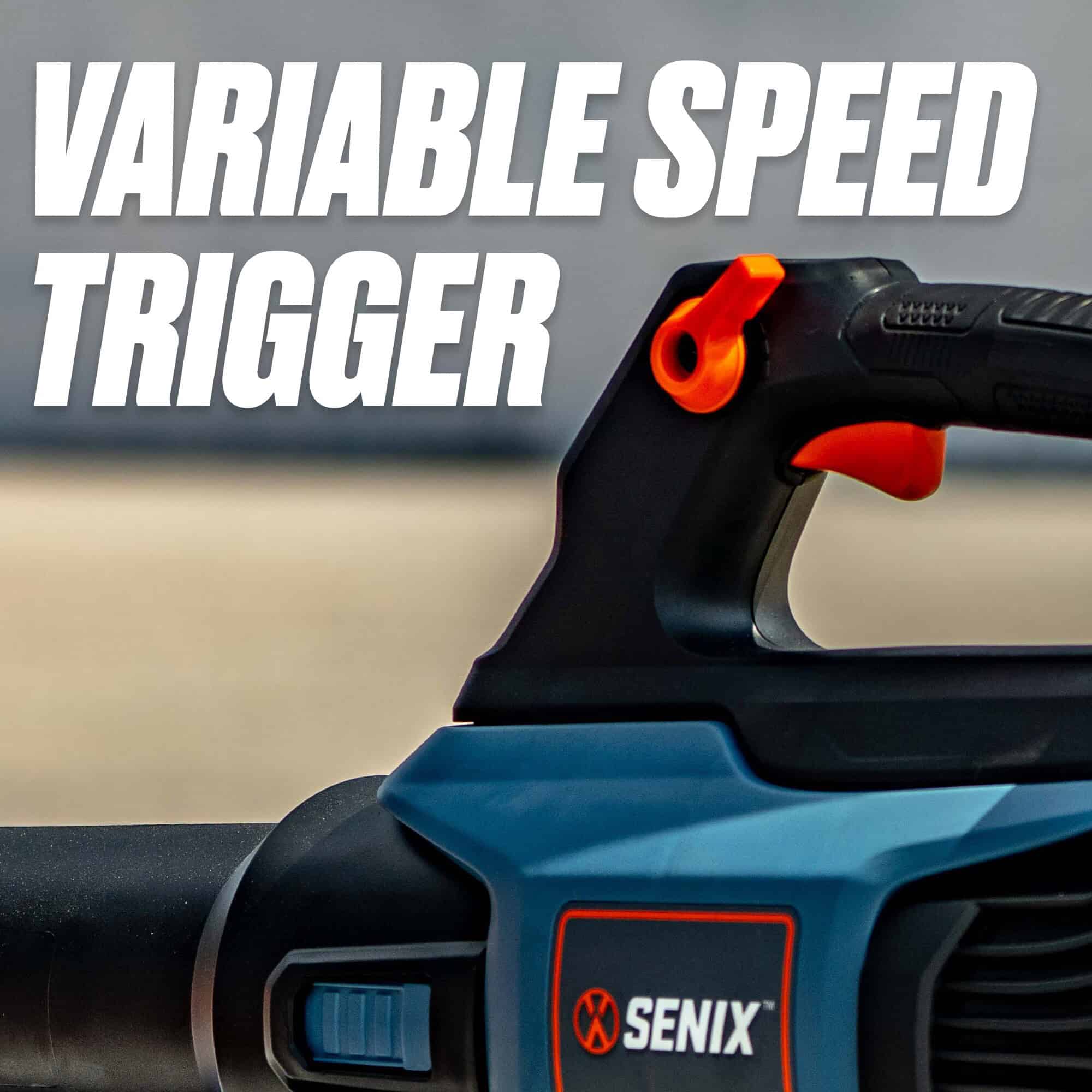 SENIX 60-volt Max 810-CFM 170-MPH Battery Handheld Leaf Blower 4 Ah (Battery and Charger Included)