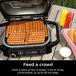 Ninja Woodfire 141 sq in 1760 Watts Electric Outdoor Grill & Smoker with Air Fry, BBQ Smoke, and Real Wood Pellet Flavor