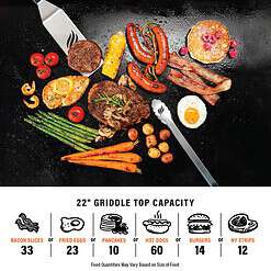 Blackstone 1666 22” Tabletop Griddle with Stainless Steel Faceplate, Powder Coated Steel, Black