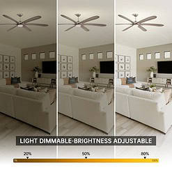 Parrot Uncle 72-inch Driftwood 6-Blade Large DC Ceiling Fan with Light and Remote
