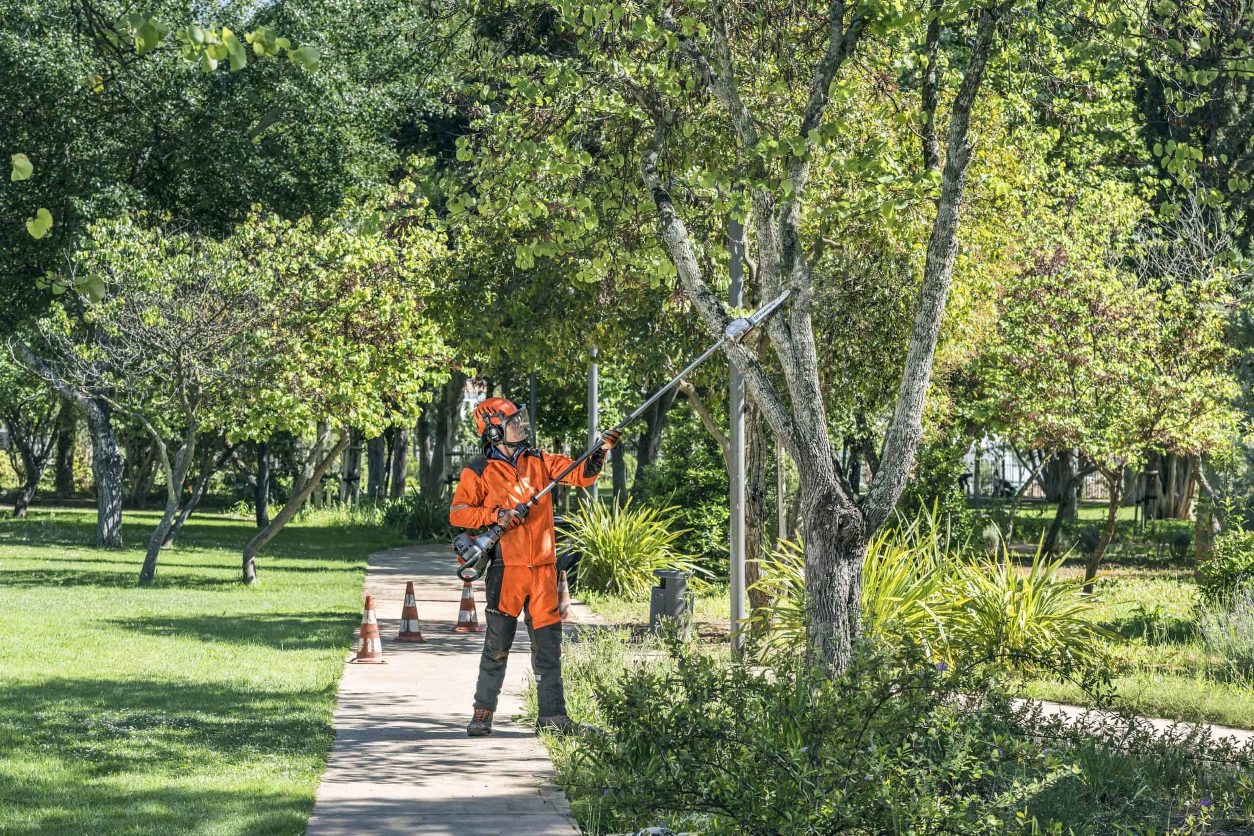 Husqvarna 12-in 25.4-cc 2-cycle Gas Pole Saw