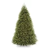 National Tree Company 9-ft Dunhill Fir Pre-lit Artificial Christmas Tree with Clear Incandescent Lights