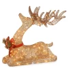 National Tree Company 27-in Reindeer Free Standing Decoration with White LED Lights