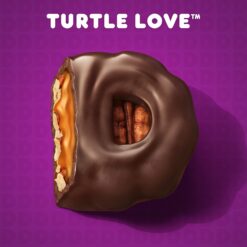 Dunkin' Turtle Love Flavored Coffee, 60 Keurig K-Cup Pods