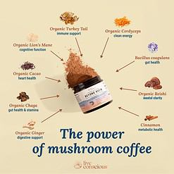 Live Conscious Beyond Brew Mushroom Superfood Coffee, 30 Servings Net Wt. 7 oz (0.4 lb/201g)